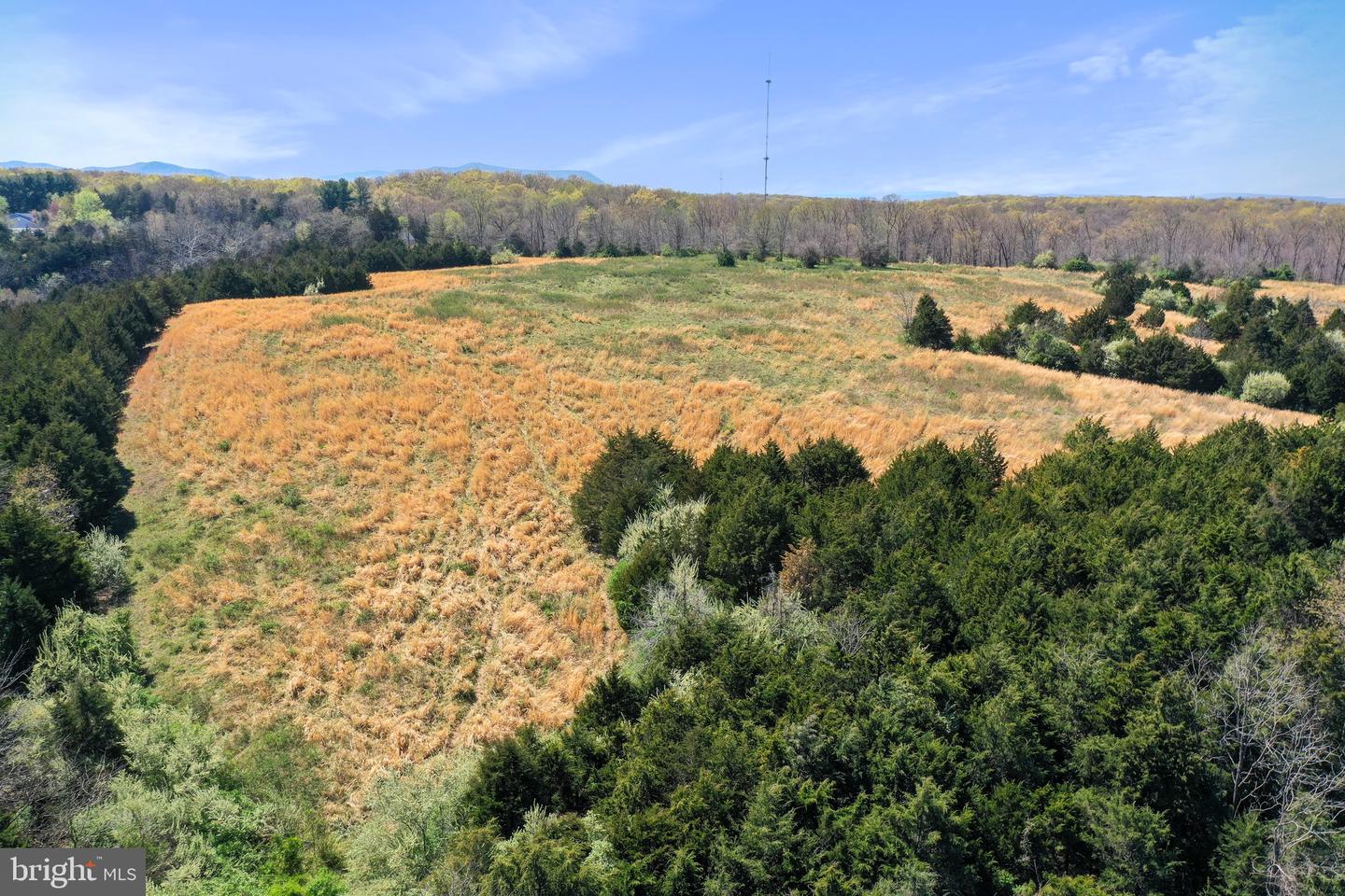 WINCHESTER RD, FRONT ROYAL, Virginia 22630, ,Farm,For Sale,WINCHESTER RD,VAWR2010162 MLS # VAWR2010162