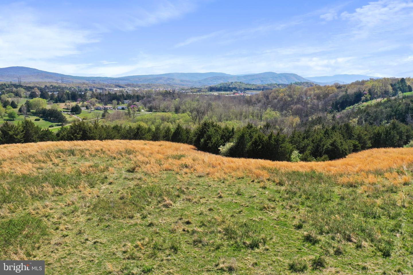 WINCHESTER RD, FRONT ROYAL, Virginia 22630, ,Farm,For Sale,WINCHESTER RD,VAWR2010162 MLS # VAWR2010162