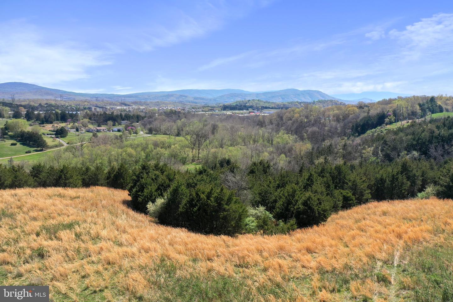 WINCHESTER RD, FRONT ROYAL, Virginia 22630, ,Farm,For Sale,WINCHESTER RD,VAWR2010162 MLS # VAWR2010162