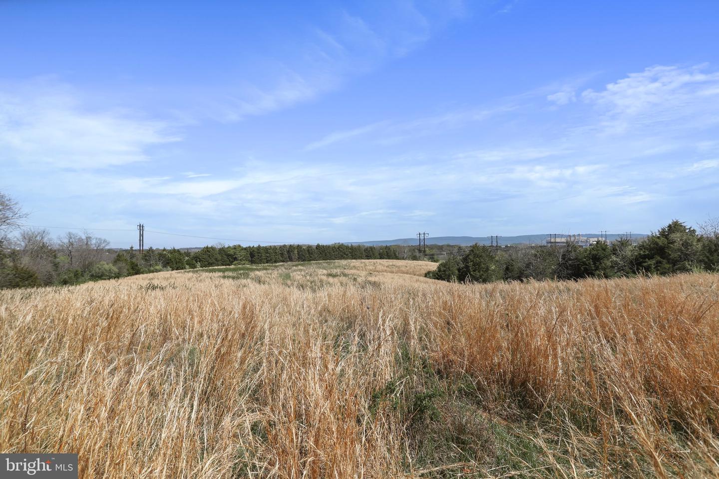 WINCHESTER RD, FRONT ROYAL, Virginia 22630, ,Farm,For Sale,WINCHESTER RD,VAWR2010162 MLS # VAWR2010162