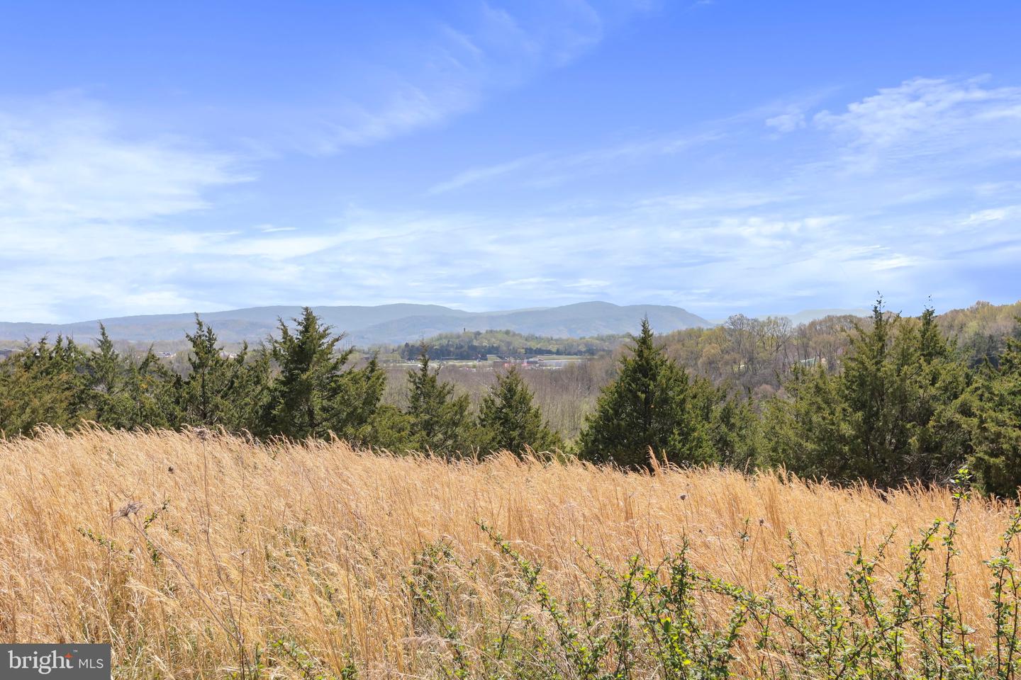 WINCHESTER RD, FRONT ROYAL, Virginia 22630, ,Farm,For Sale,WINCHESTER RD,VAWR2010162 MLS # VAWR2010162