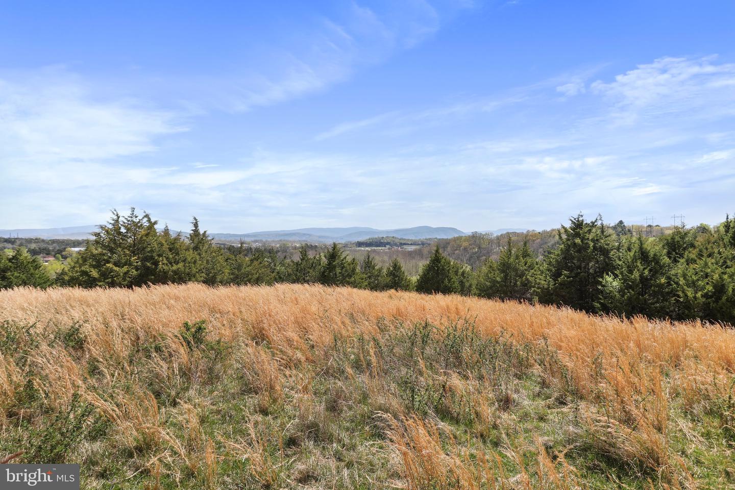 WINCHESTER RD, FRONT ROYAL, Virginia 22630, ,Farm,For Sale,WINCHESTER RD,VAWR2010162 MLS # VAWR2010162