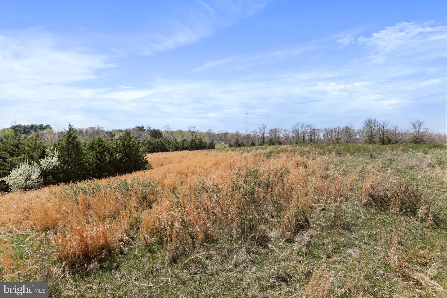 WINCHESTER RD, FRONT ROYAL, Virginia 22630, ,Farm,For Sale,WINCHESTER RD,VAWR2010162 MLS # VAWR2010162