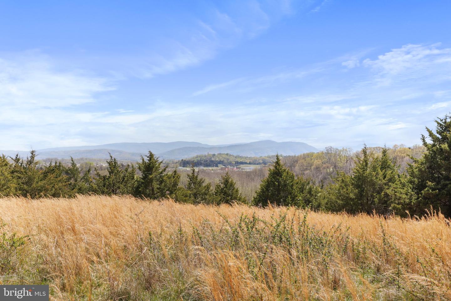 WINCHESTER RD, FRONT ROYAL, Virginia 22630, ,Farm,For Sale,WINCHESTER RD,VAWR2010162 MLS # VAWR2010162