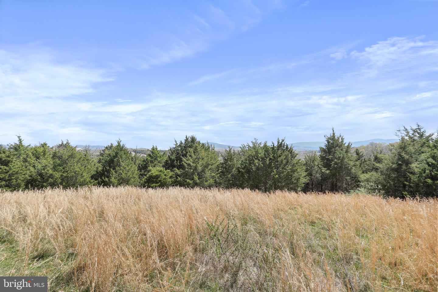 WINCHESTER RD, FRONT ROYAL, Virginia 22630, ,Farm,For Sale,WINCHESTER RD,VAWR2010162 MLS # VAWR2010162