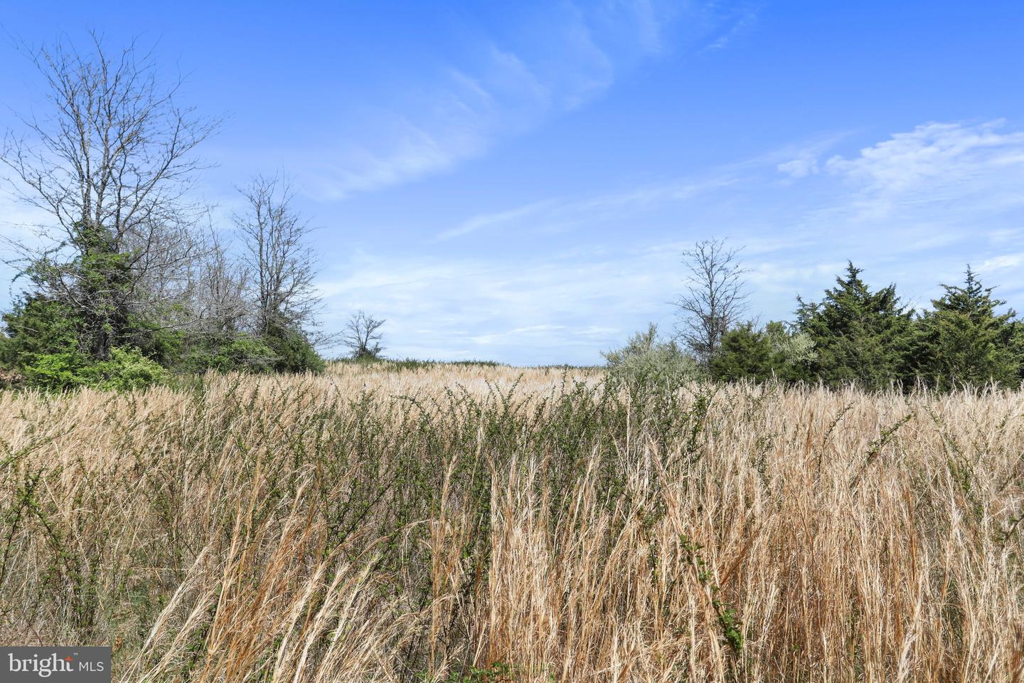 WINCHESTER RD, FRONT ROYAL, Virginia 22630, ,Farm,For Sale,WINCHESTER RD,VAWR2010162 MLS # VAWR2010162