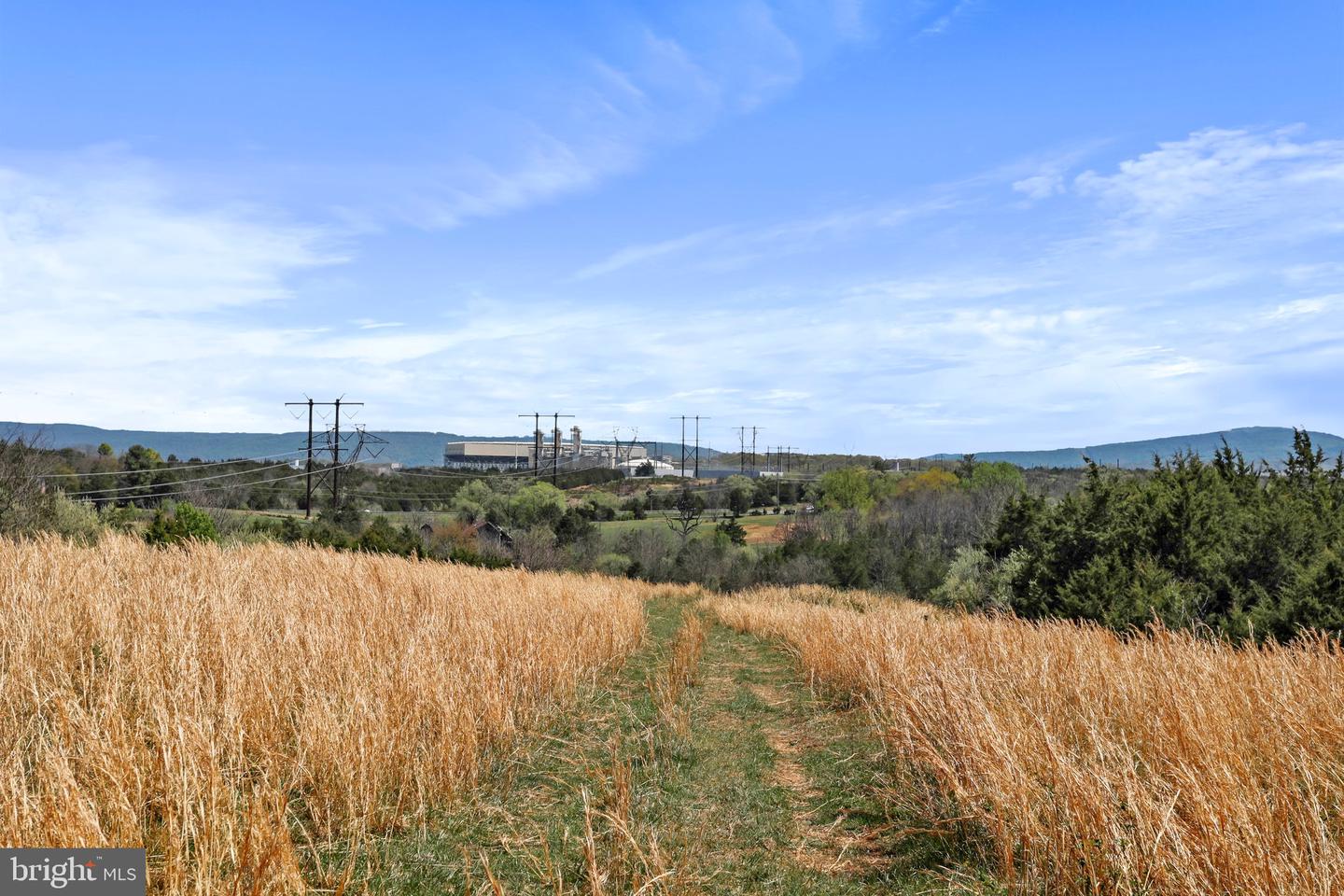 WINCHESTER RD, FRONT ROYAL, Virginia 22630, ,Farm,For Sale,WINCHESTER RD,VAWR2010162 MLS # VAWR2010162