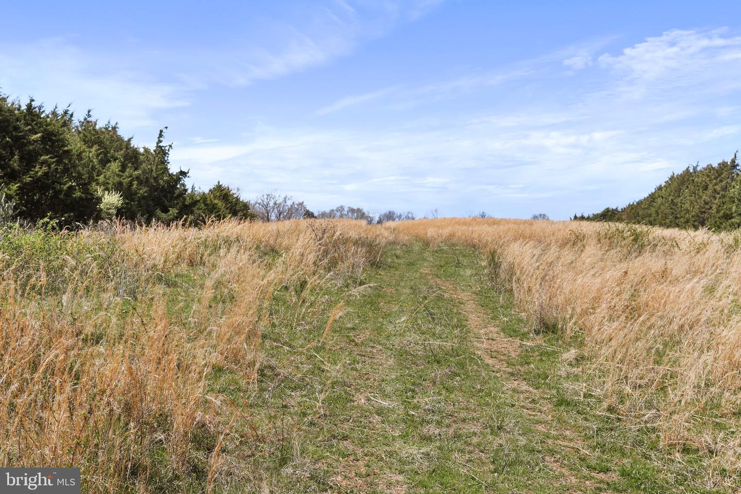 WINCHESTER RD, FRONT ROYAL, Virginia 22630, ,Farm,For Sale,WINCHESTER RD,VAWR2010162 MLS # VAWR2010162