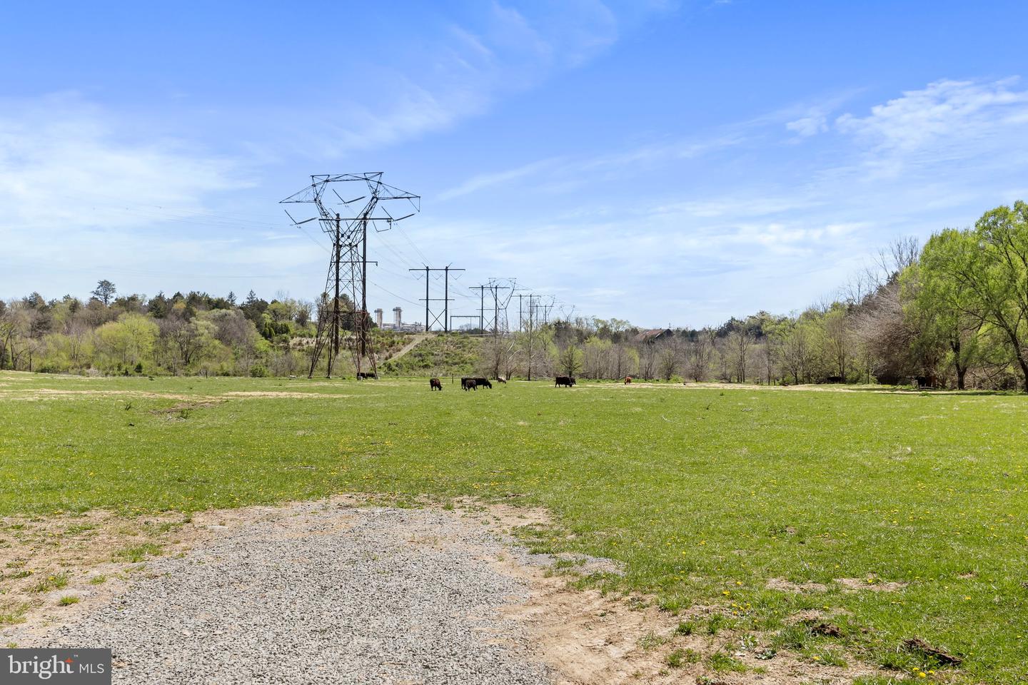 WINCHESTER RD, FRONT ROYAL, Virginia 22630, ,Farm,For Sale,WINCHESTER RD,VAWR2010162 MLS # VAWR2010162