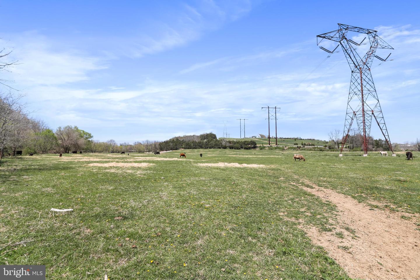 WINCHESTER RD, FRONT ROYAL, Virginia 22630, ,Farm,For Sale,WINCHESTER RD,VAWR2010162 MLS # VAWR2010162