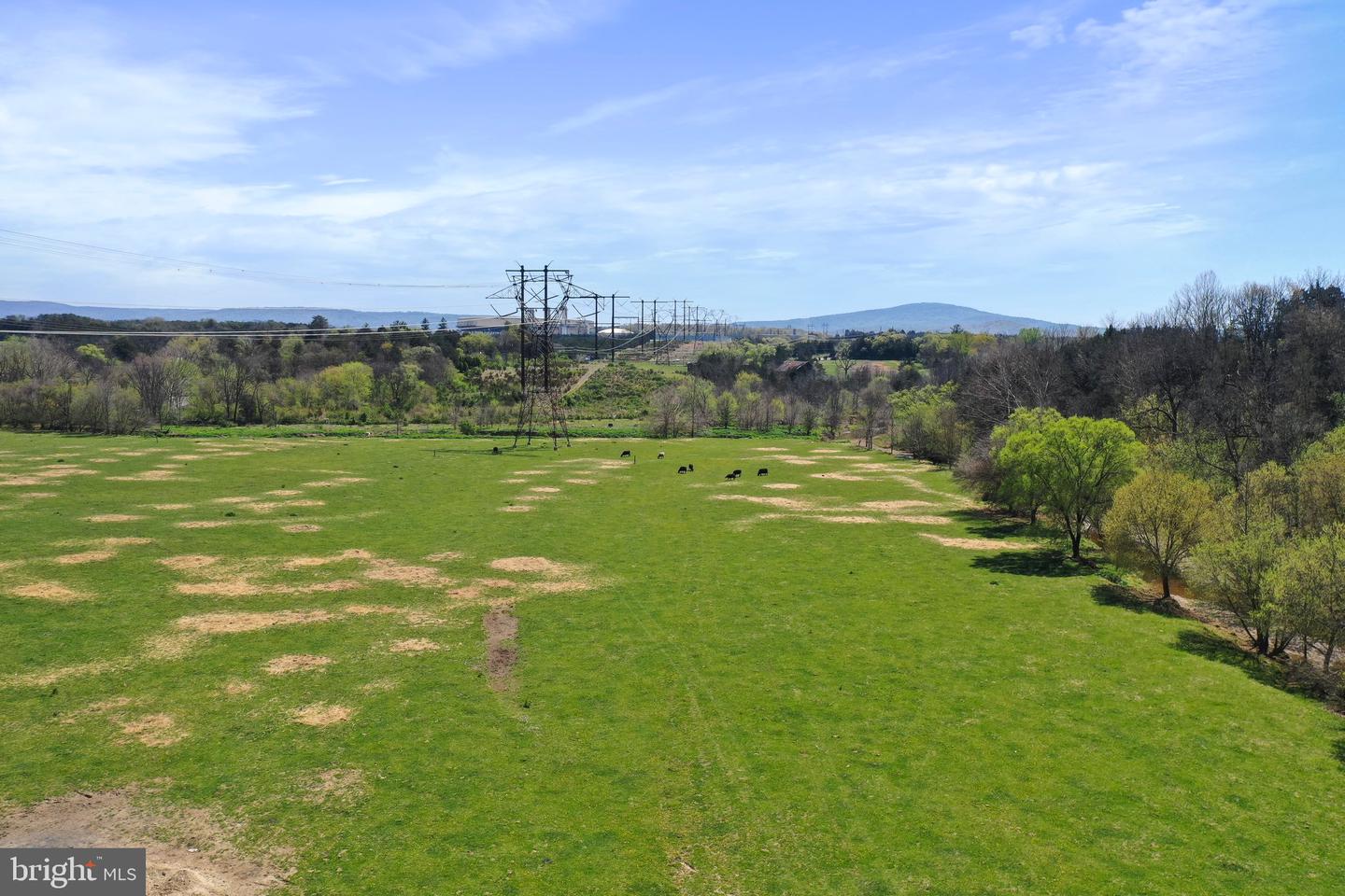 WINCHESTER RD, FRONT ROYAL, Virginia 22630, ,Farm,For Sale,WINCHESTER RD,VAWR2010162 MLS # VAWR2010162