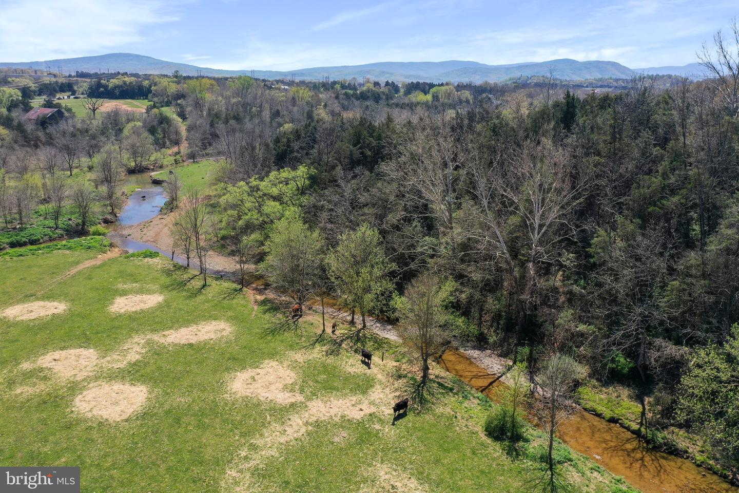 WINCHESTER RD, FRONT ROYAL, Virginia 22630, ,Farm,For Sale,WINCHESTER RD,VAWR2010162 MLS # VAWR2010162