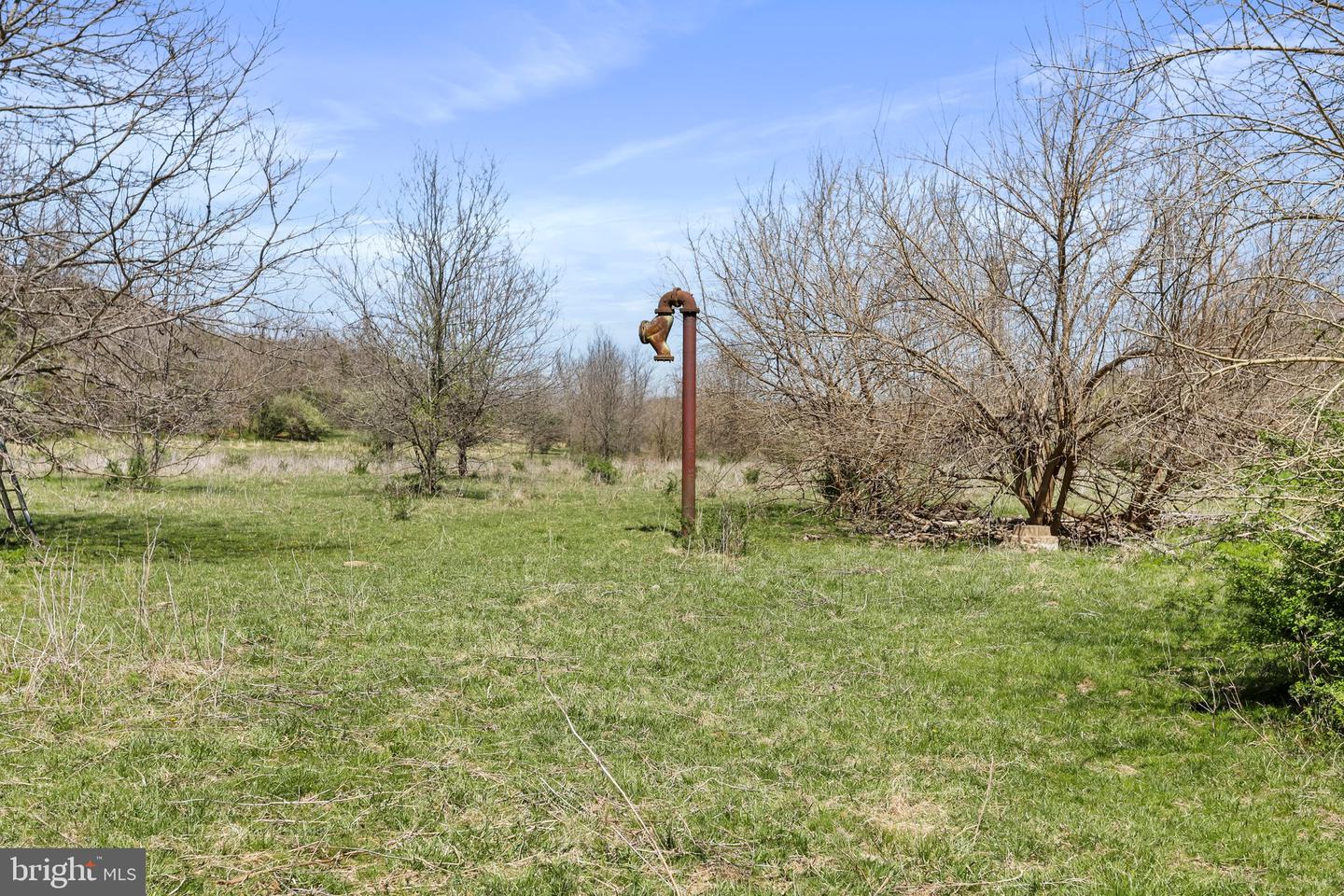 WINCHESTER RD, FRONT ROYAL, Virginia 22630, ,Farm,For Sale,WINCHESTER RD,VAWR2010162 MLS # VAWR2010162