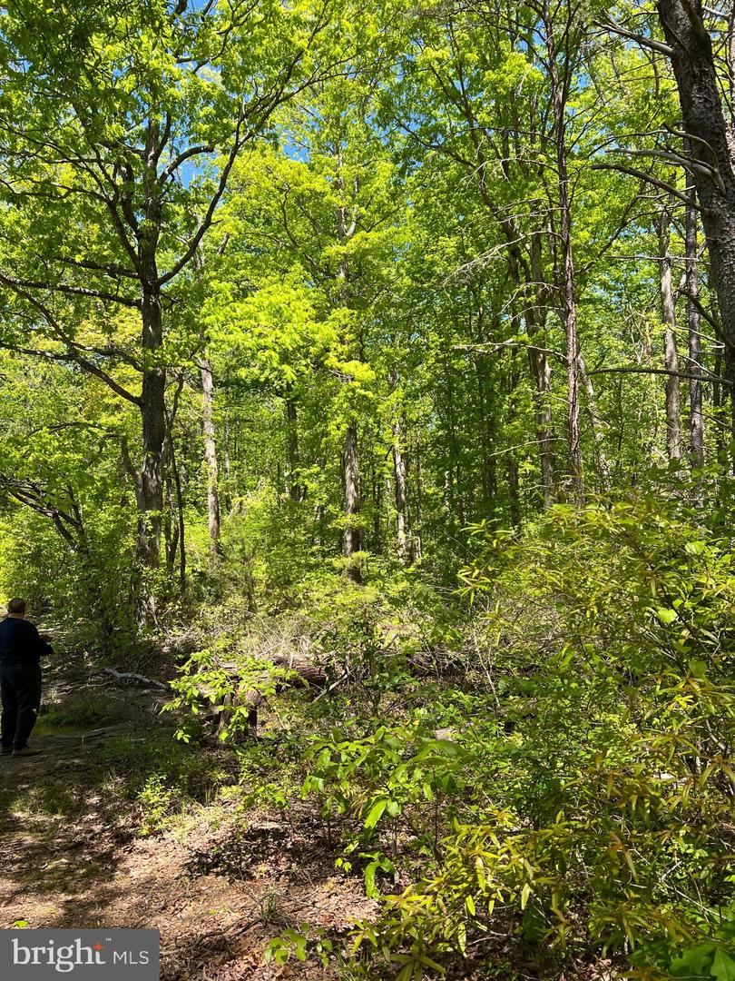 ELK RUN, BEALETON, Virginia 22712, ,Land,For Sale,ELK RUN,VAFQ2020374 MLS # VAFQ2020374