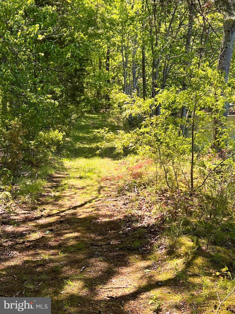 ELK RUN, BEALETON, Virginia 22712, ,Land,For Sale,ELK RUN,VAFQ2020374 MLS # VAFQ2020374