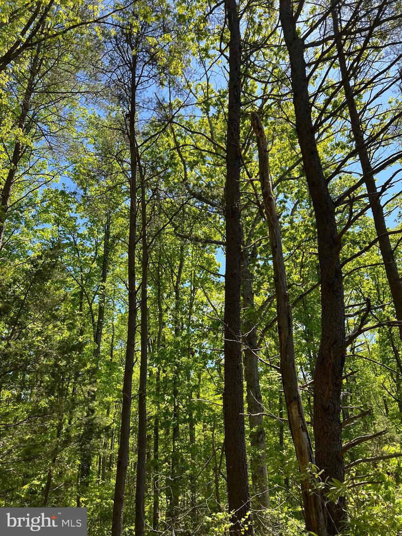 ELK RUN, BEALETON, Virginia 22712, ,Land,For Sale,ELK RUN,VAFQ2020374 MLS # VAFQ2020374