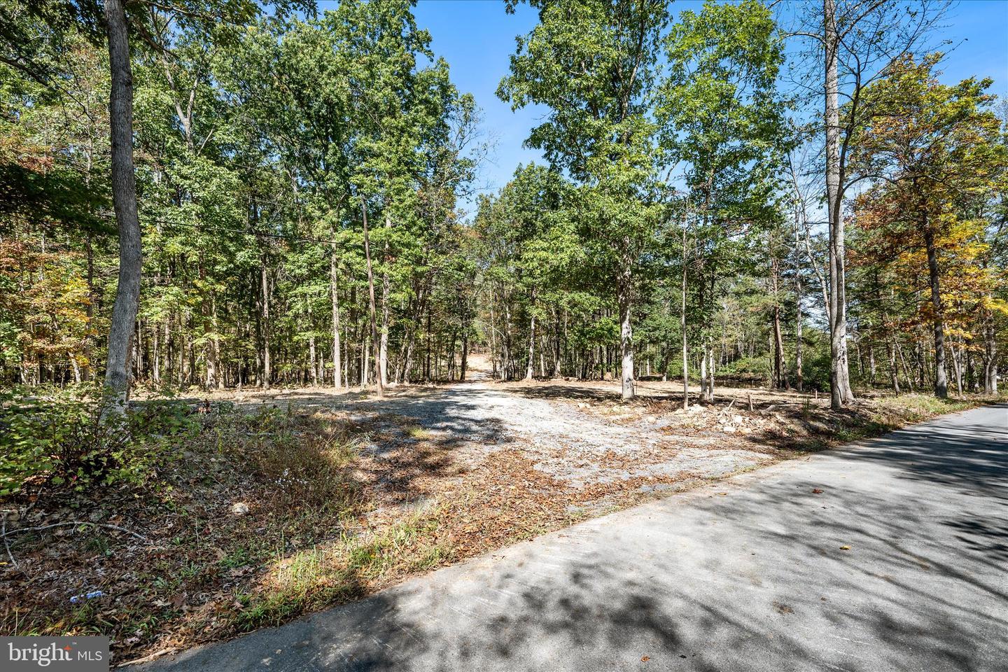 BACK CREEK RD, GORE, Virginia 22637, ,Land,For Sale,BACK CREEK RD,VAFV2037822 MLS # VAFV2037822 BACK CREEK RD, GORE, Virginia 22637, ,Land,For Sale,BACK CREEK RD,VAFV2037822 MLS # VAFV2037822