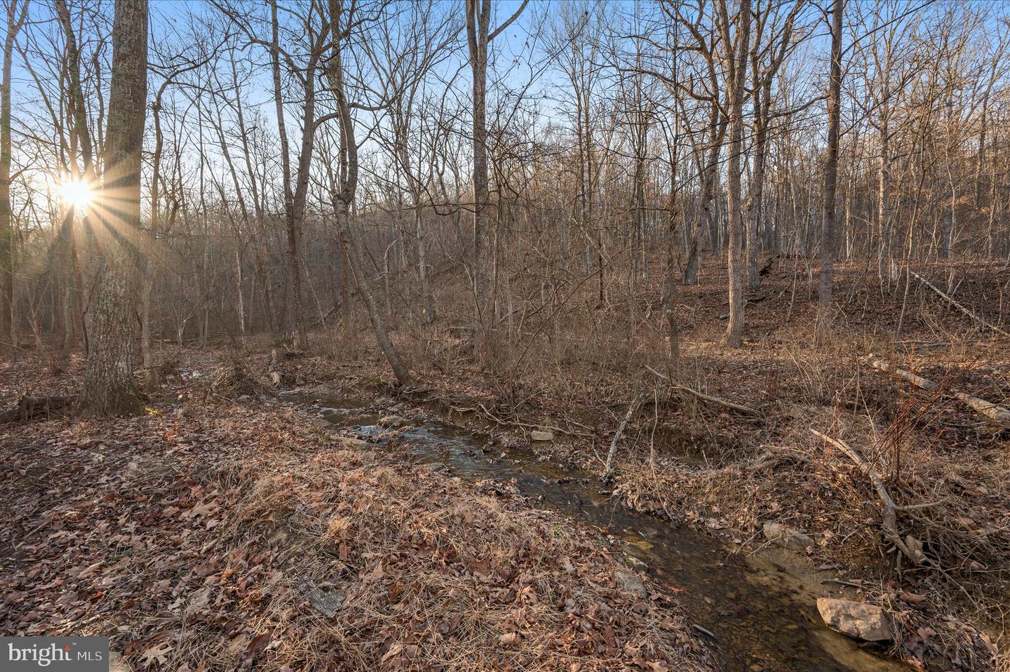 BACK CREEK RD, GORE, Virginia 22637, ,Land,For Sale,BACK CREEK RD,VAFV2037822 MLS # VAFV2037822 BACK CREEK RD, GORE, Virginia 22637, ,Land,For Sale,BACK CREEK RD,VAFV2037822 MLS # VAFV2037822
