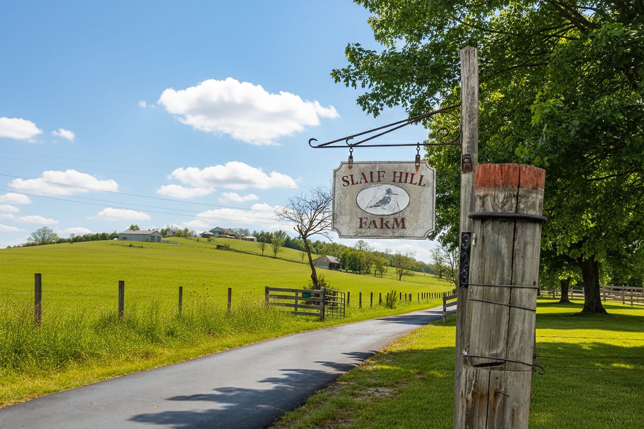 3 WALNUT VALLEY LN, WEYERS CAVE, Virginia 24486, 4 Bedrooms Bedrooms, ,3 BathroomsBathrooms,Residential,14,3 WALNUT VALLEY LN,673437 MLS # 673437