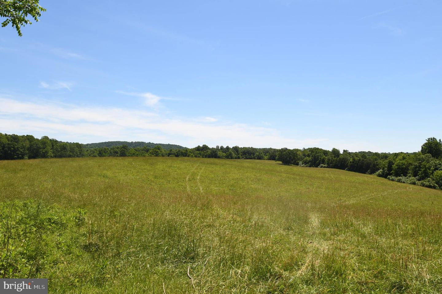 SLATE MILLS ROAD, SPERRYVILLE, Virginia 22740, ,Farm,For Sale,SLATE MILLS ROAD,VARP2001592 MLS # VARP2001592