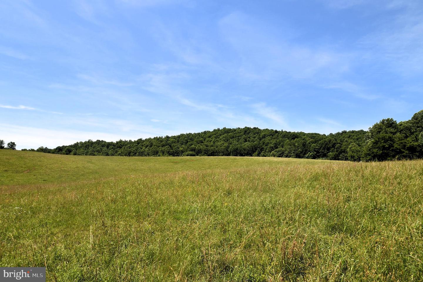 SLATE MILLS ROAD, SPERRYVILLE, Virginia 22740, ,Farm,For Sale,SLATE MILLS ROAD,VARP2001592 MLS # VARP2001592