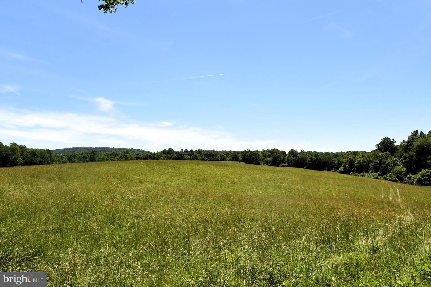 SLATE MILLS ROAD, SPERRYVILLE, Virginia 22740, ,Farm,For Sale,SLATE MILLS ROAD,VARP2001592 MLS # VARP2001592