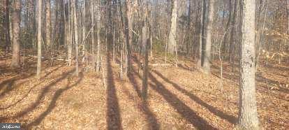 SHELTON LN, MINERAL, Virginia 23117, ,Land,For Sale,SHELTON LN,VALA2009318 MLS # VALA2009318