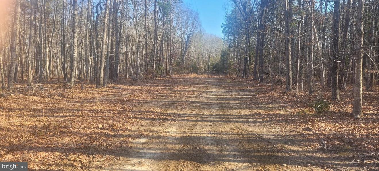 SHELTON LN, MINERAL, Virginia 23117, ,Land,For Sale,SHELTON LN,VALA2009318 MLS # VALA2009318