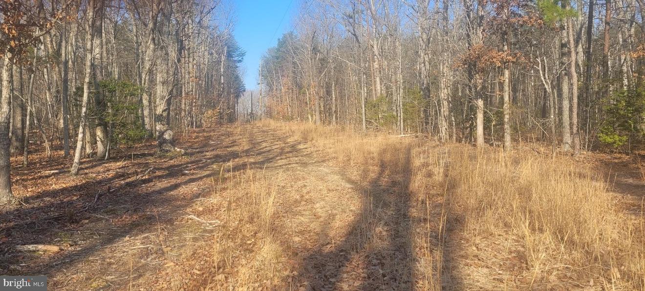 SHELTON LN, MINERAL, Virginia 23117, ,Land,For Sale,SHELTON LN,VALA2009318 MLS # VALA2009318