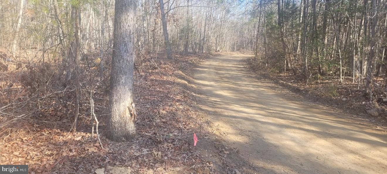 SHELTON LN, MINERAL, Virginia 23117, ,Land,For Sale,SHELTON LN,VALA2009318 MLS # VALA2009318