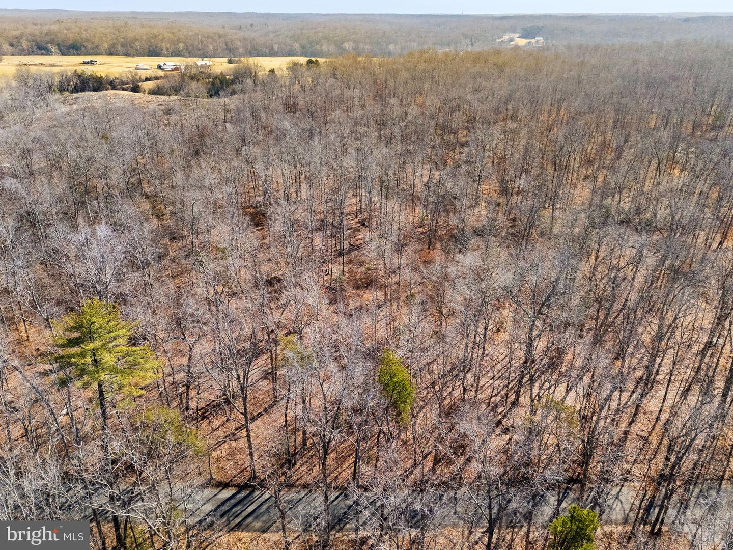 SPRING MILL ROAD, GOLDVEIN, Virginia 22720, ,Farm,For Sale,SPRING MILL ROAD,VAFQ2020478 MLS # VAFQ2020478 SPRING MILL ROAD, GOLDVEIN, Virginia 22720, ,Farm,For Sale,SPRING MILL ROAD,VAFQ2020478 MLS # VAFQ2020478