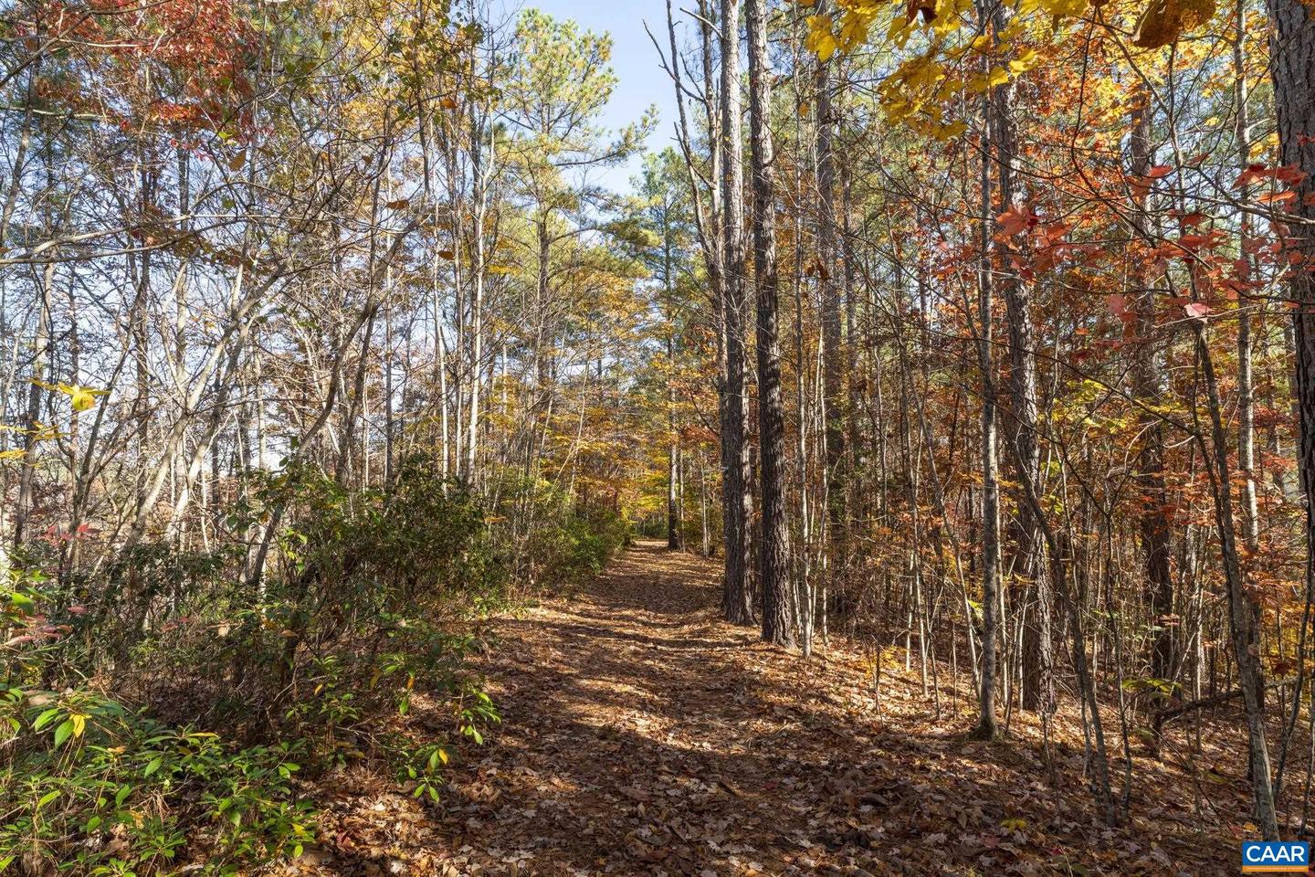 9225 HOWARDSVILLE TPKE, SCHUYLER, Virginia 22969, 3 Bedrooms Bedrooms, ,3 BathroomsBathrooms,Residential,For Sale,9225 HOWARDSVILLE TPKE,673677 MLS # 673677