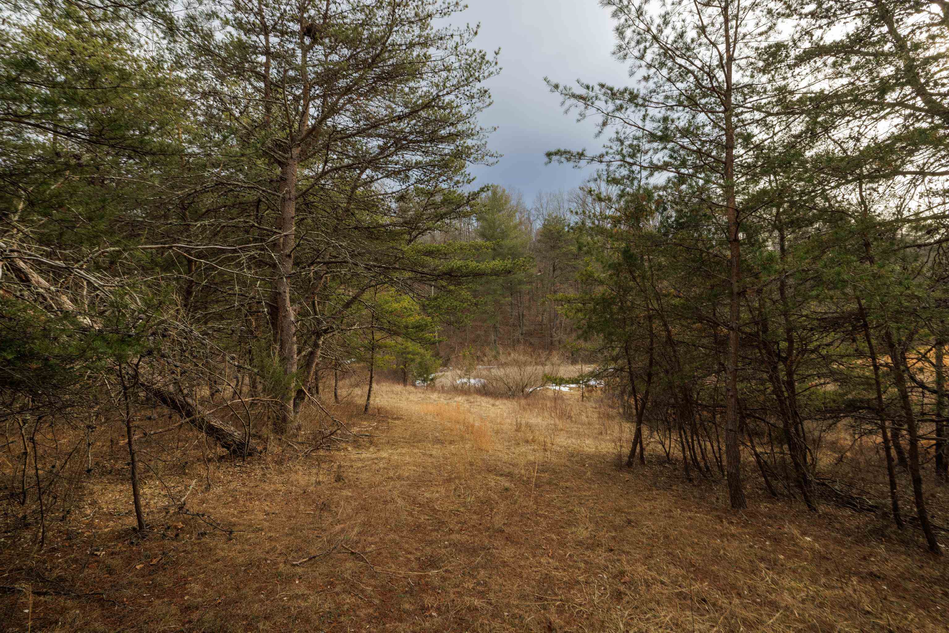 577 HAMMOND LN, STAUNTON, Virginia 24401, ,Land,14,577 HAMMOND LN,673745 MLS # 673745