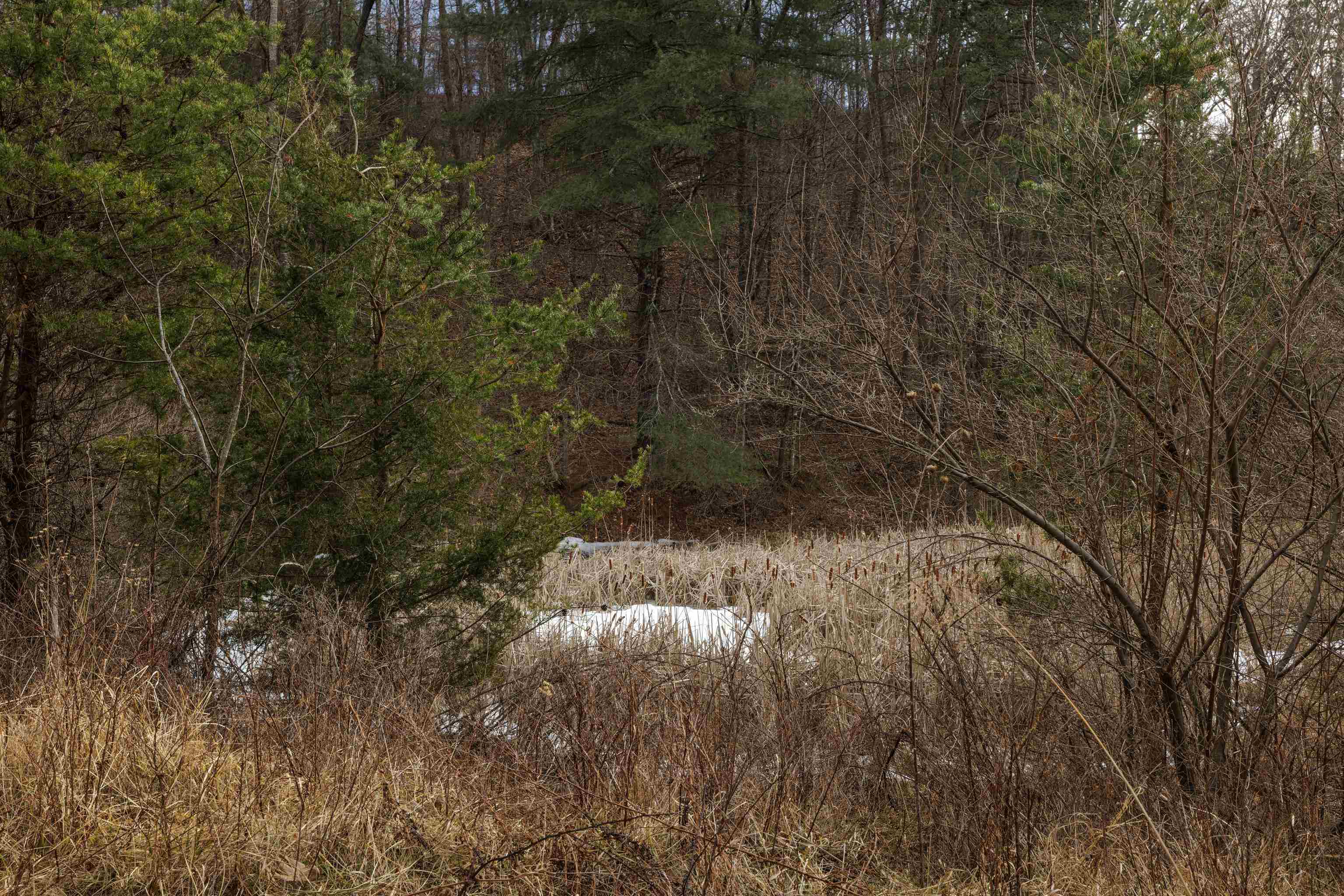 577 HAMMOND LN, STAUNTON, Virginia 24401, ,Land,14,577 HAMMOND LN,673745 MLS # 673745