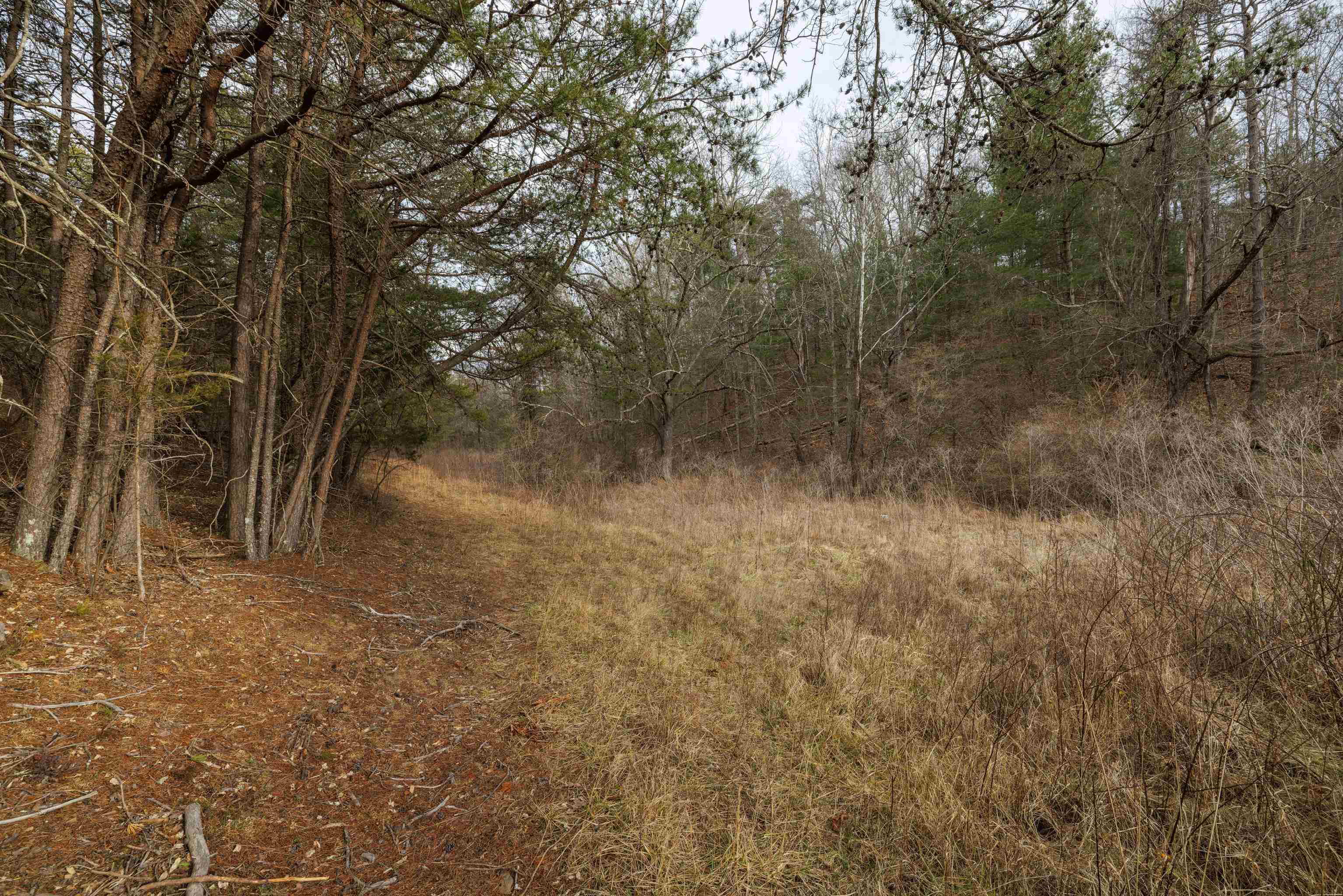 577 HAMMOND LN, STAUNTON, Virginia 24401, ,Land,14,577 HAMMOND LN,673745 MLS # 673745