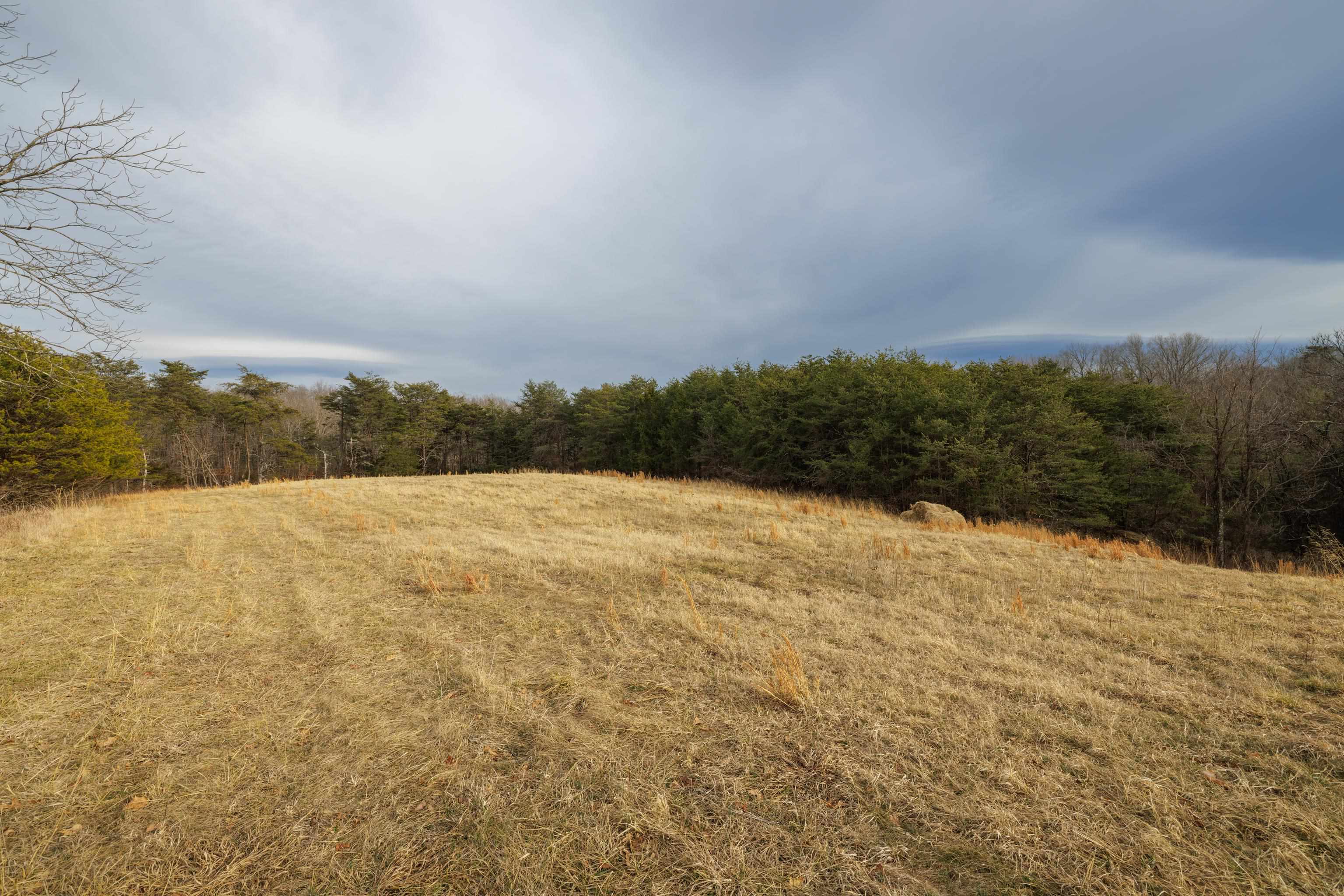 577 HAMMOND LN, STAUNTON, Virginia 24401, ,Land,14,577 HAMMOND LN,673745 MLS # 673745