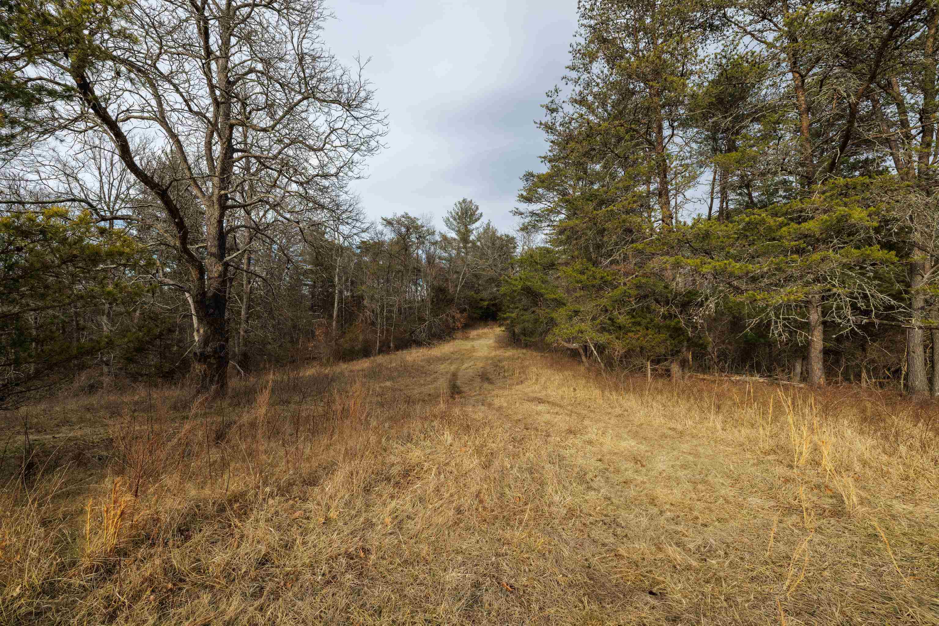 577 HAMMOND LN, STAUNTON, Virginia 24401, ,Land,14,577 HAMMOND LN,673745 MLS # 673745