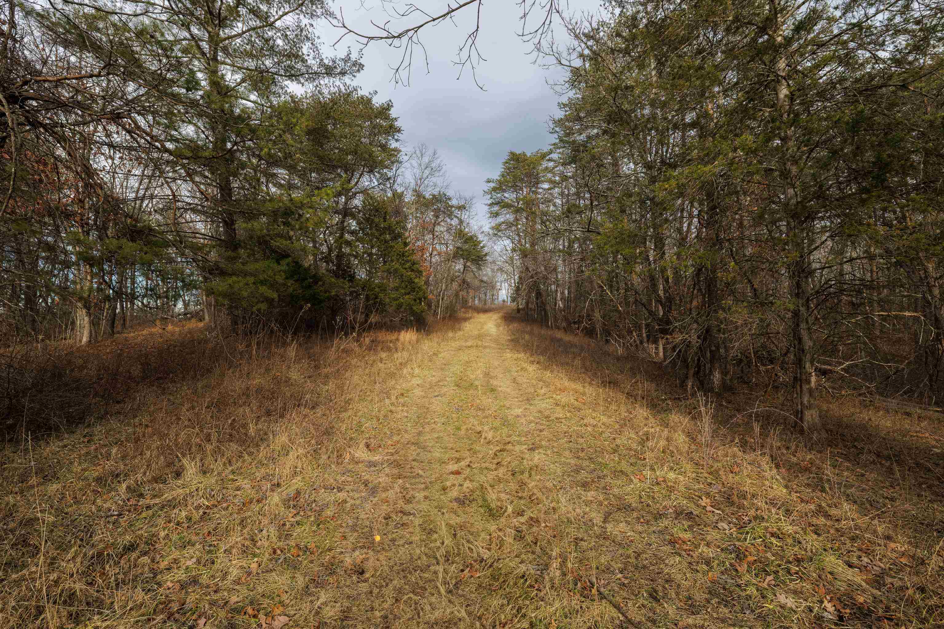 577 HAMMOND LN, STAUNTON, Virginia 24401, ,Land,14,577 HAMMOND LN,673745 MLS # 673745