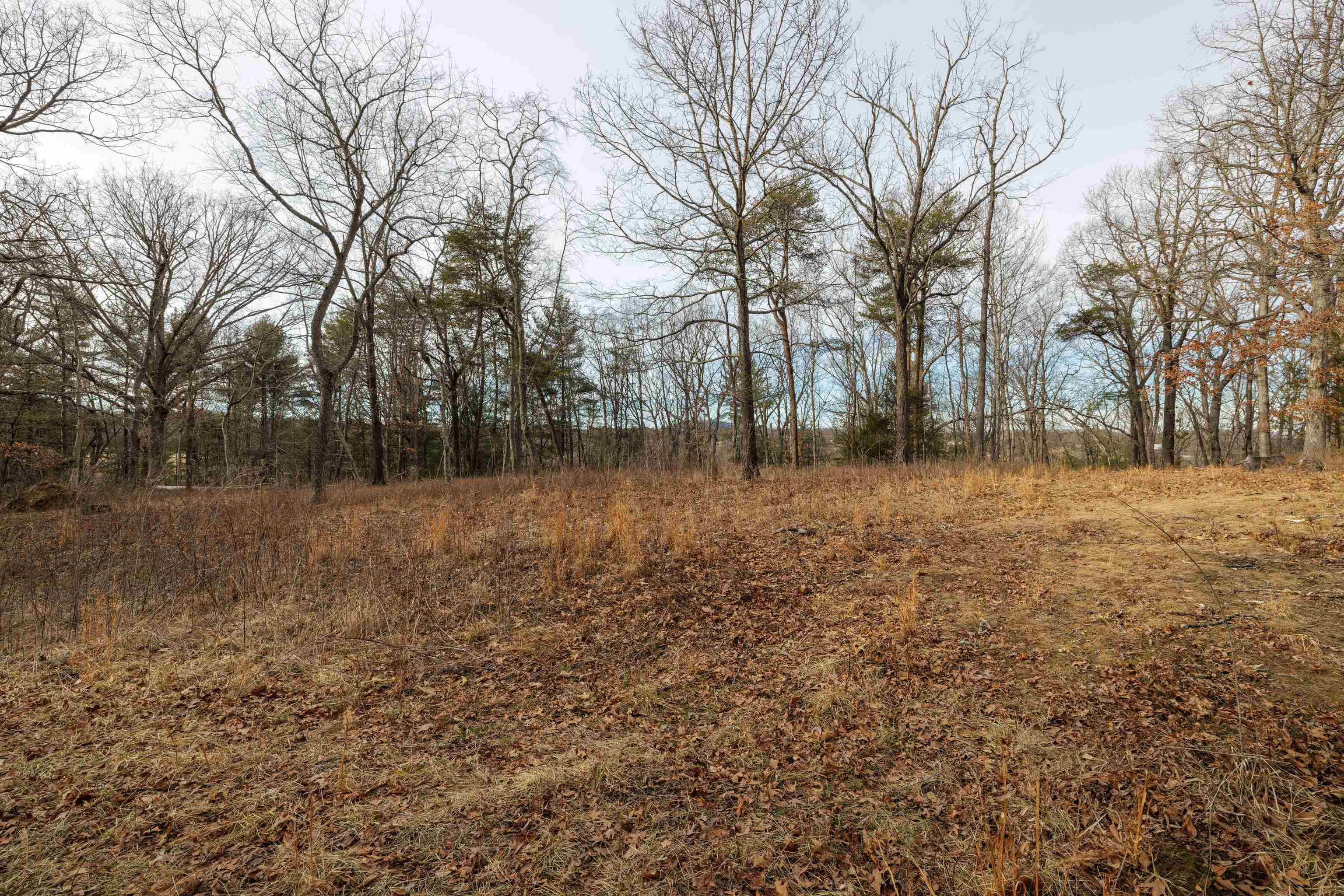 577 HAMMOND LN, STAUNTON, Virginia 24401, ,Land,14,577 HAMMOND LN,673745 MLS # 673745