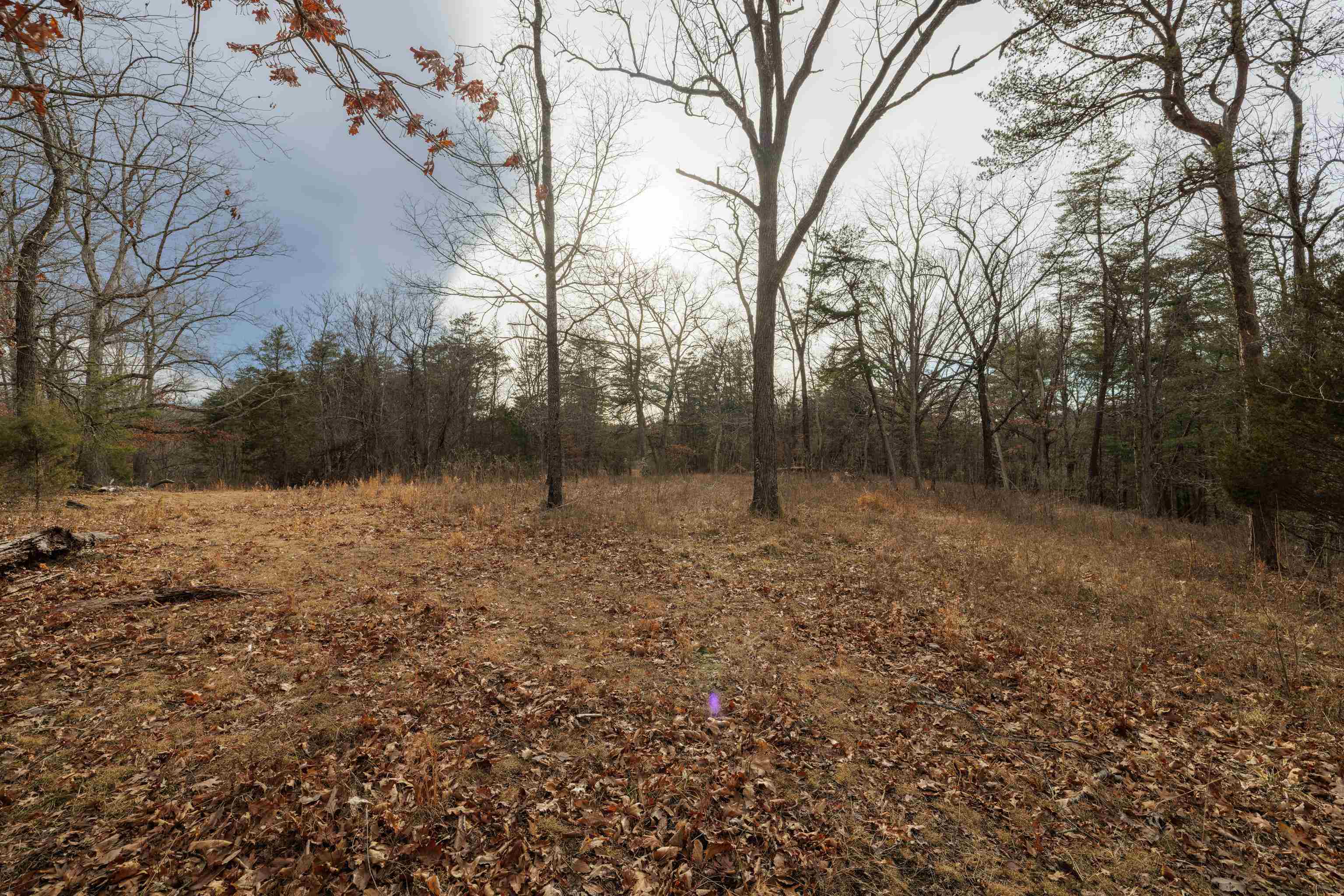 577 HAMMOND LN, STAUNTON, Virginia 24401, ,Land,14,577 HAMMOND LN,673745 MLS # 673745