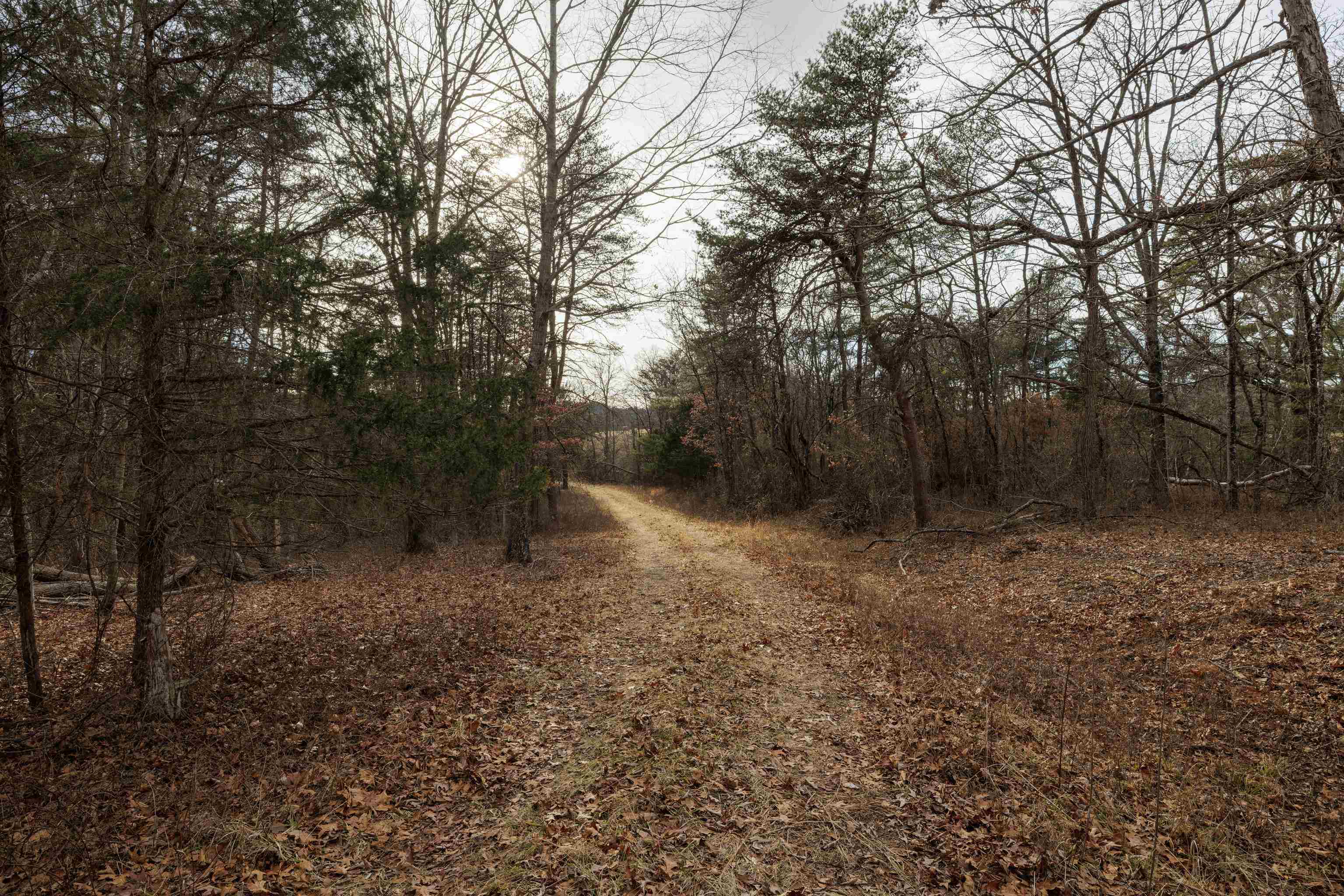 577 HAMMOND LN, STAUNTON, Virginia 24401, ,Land,14,577 HAMMOND LN,673745 MLS # 673745