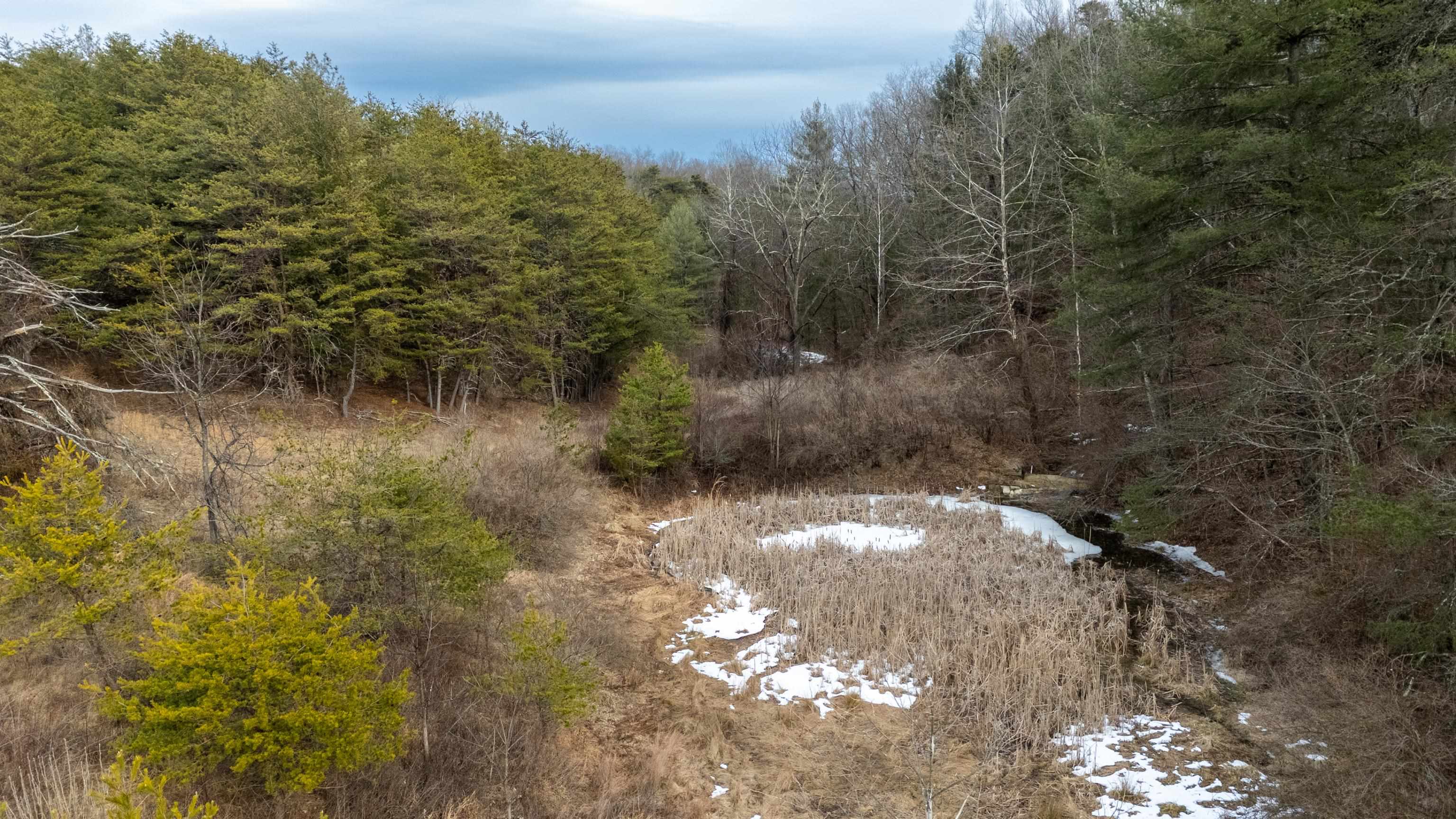 577 HAMMOND LN, STAUNTON, Virginia 24401, ,Land,14,577 HAMMOND LN,673745 MLS # 673745