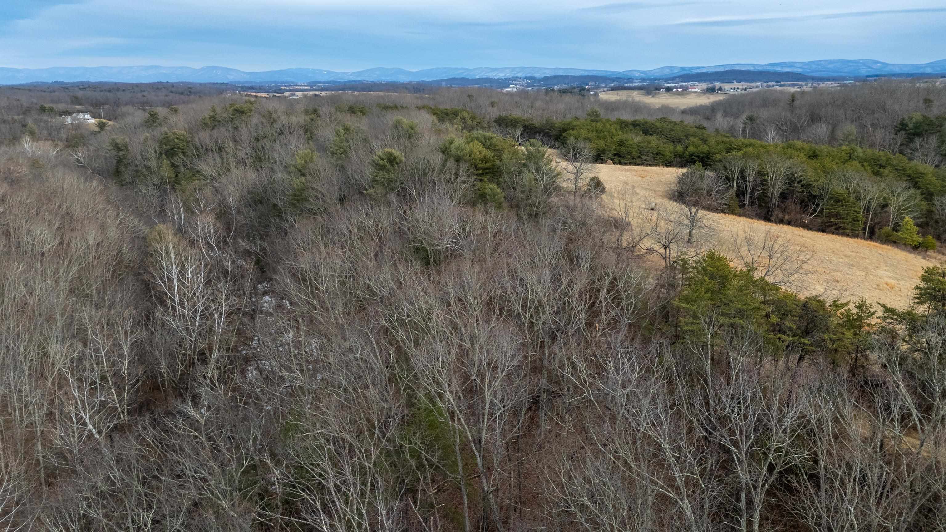 577 HAMMOND LN, STAUNTON, Virginia 24401, ,Land,14,577 HAMMOND LN,673745 MLS # 673745