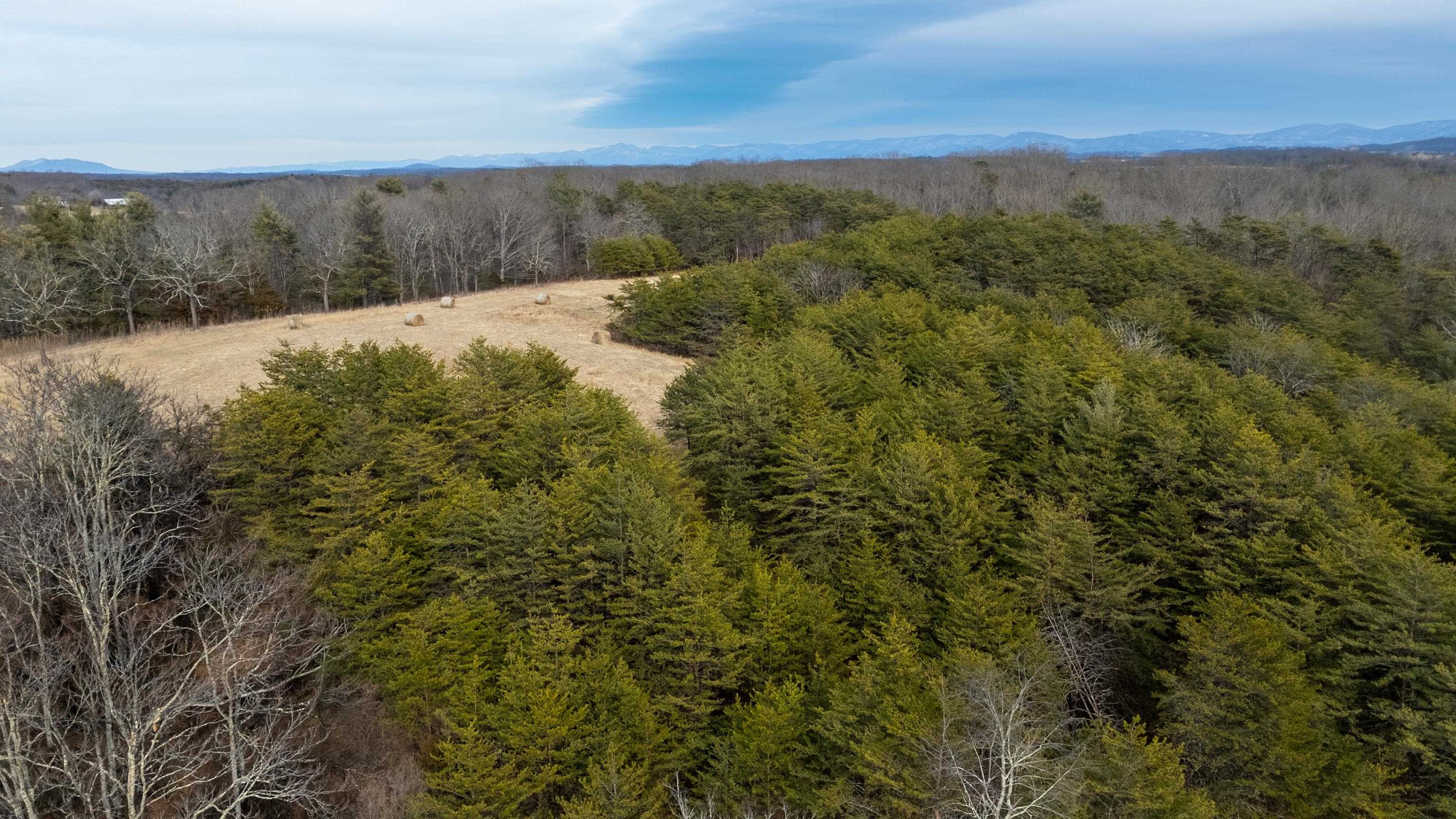 577 HAMMOND LN, STAUNTON, Virginia 24401, ,Land,14,577 HAMMOND LN,673745 MLS # 673745