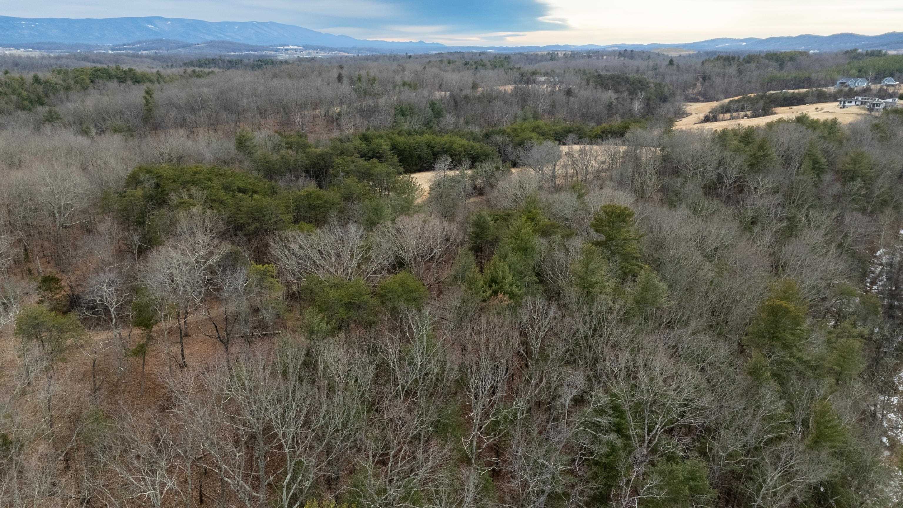 577 HAMMOND LN, STAUNTON, Virginia 24401, ,Land,14,577 HAMMOND LN,673745 MLS # 673745