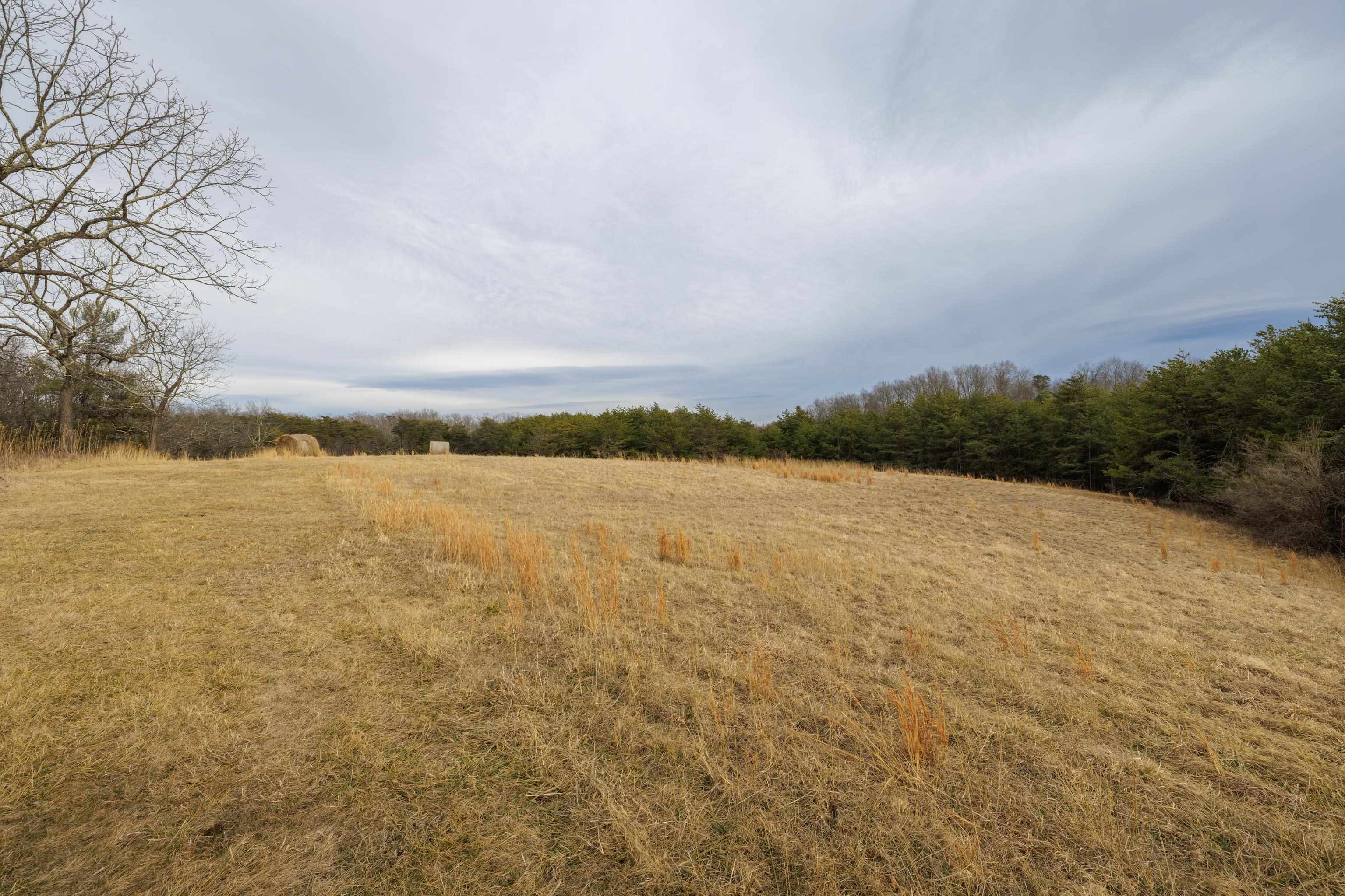 577 HAMMOND LN, STAUNTON, Virginia 24401, ,Land,14,577 HAMMOND LN,673745 MLS # 673745