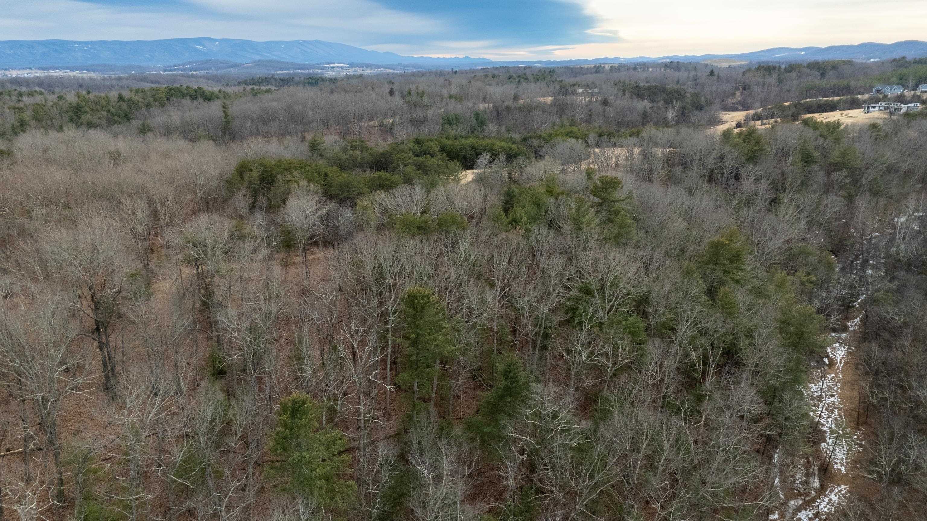 577 HAMMOND LN, STAUNTON, Virginia 24401, ,Land,14,577 HAMMOND LN,673745 MLS # 673745