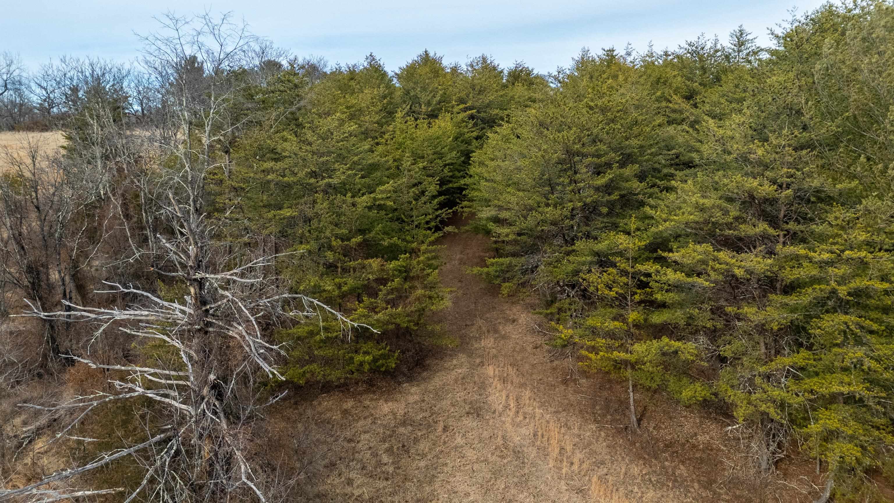 577 HAMMOND LN, STAUNTON, Virginia 24401, ,Land,14,577 HAMMOND LN,673745 MLS # 673745