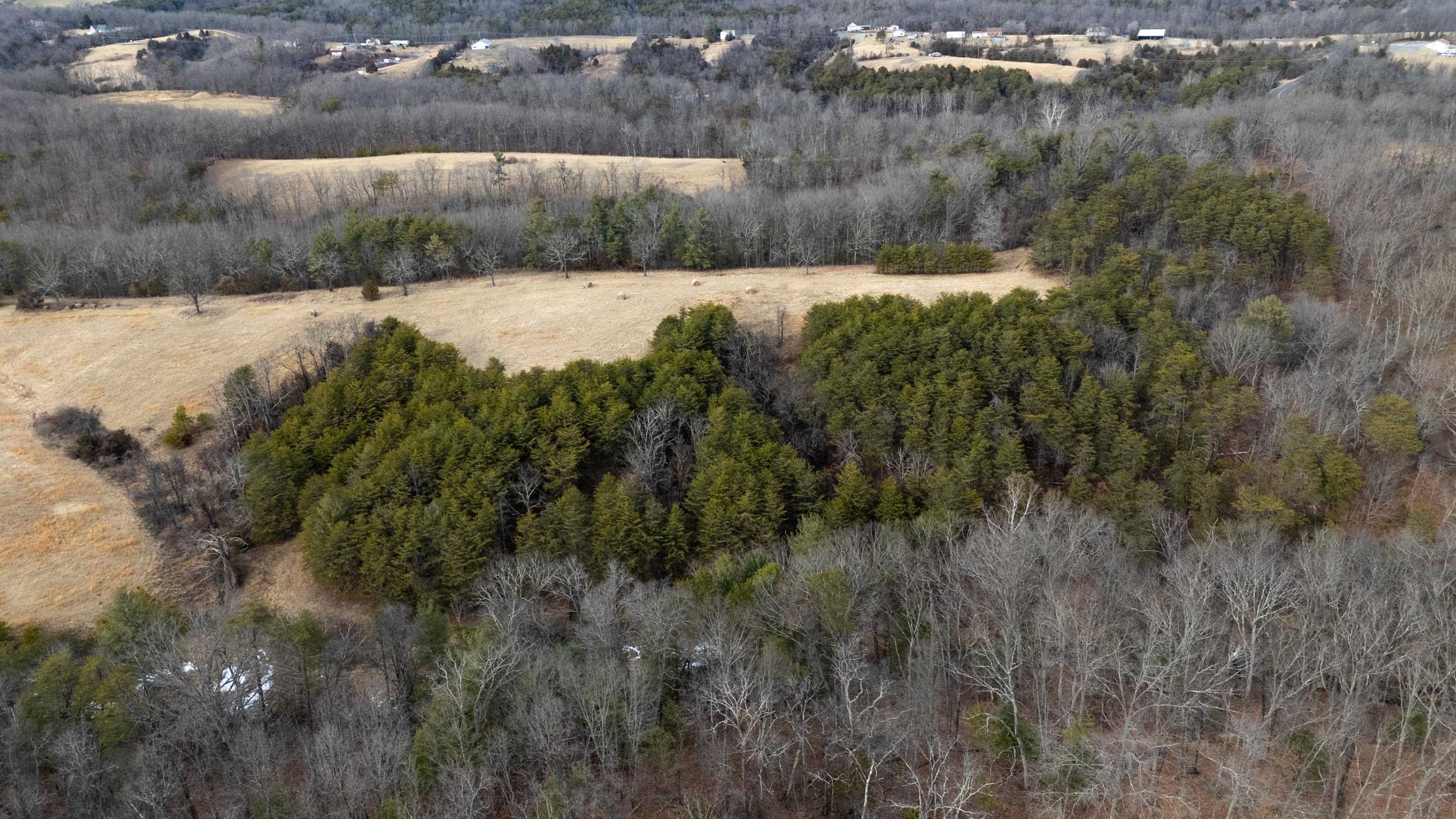 577 HAMMOND LN, STAUNTON, Virginia 24401, ,Land,14,577 HAMMOND LN,673745 MLS # 673745