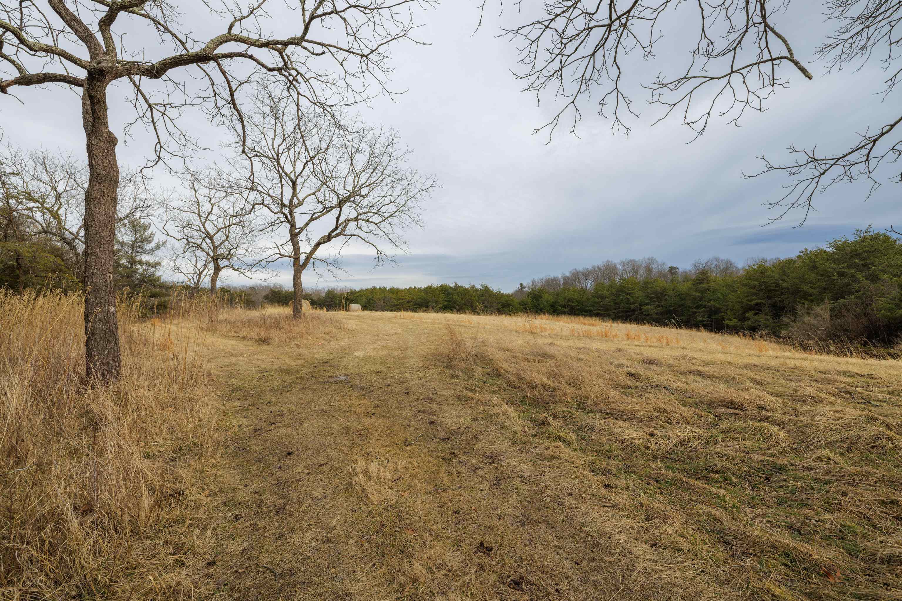 577 HAMMOND LN, STAUNTON, Virginia 24401, ,Land,14,577 HAMMOND LN,673745 MLS # 673745